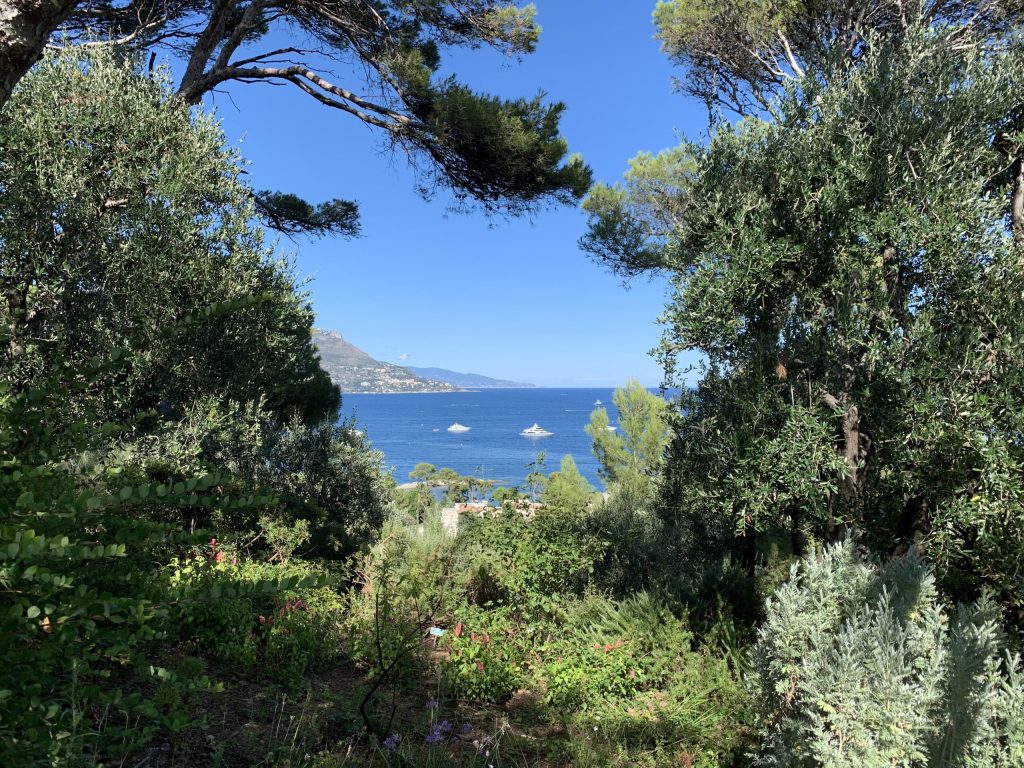 Widok z ogrodów przy willi baronowej Ephrussi de Rothschild (w kierunku Monaco).